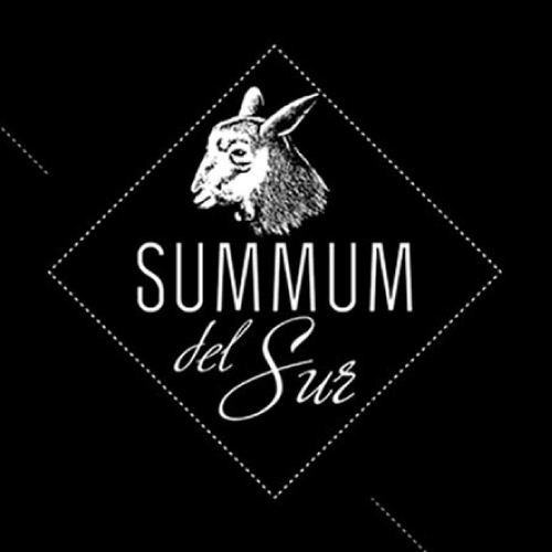 logo_summumdelsur 500x500